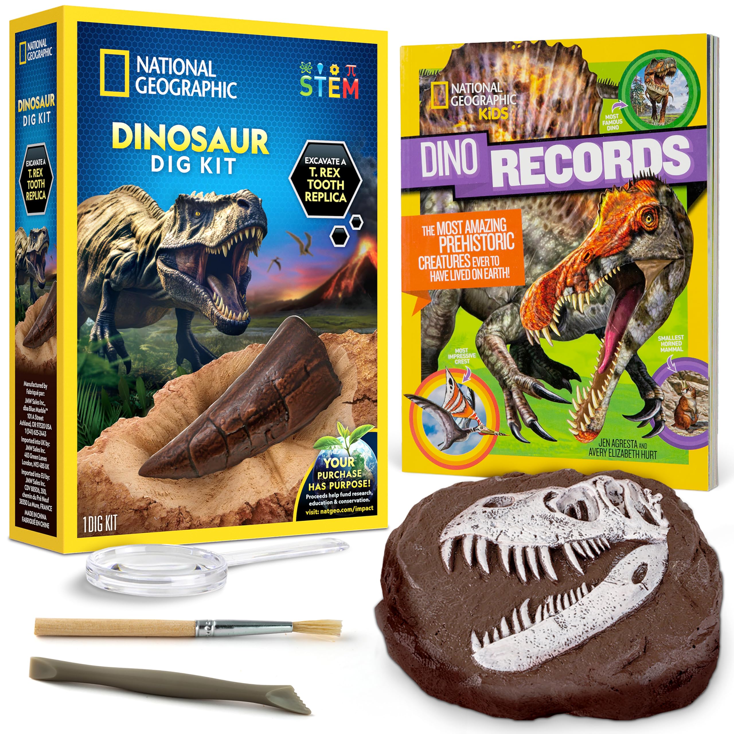 古生物/化石セット Amazon.co.jp: NATIONAL GEOGRAPHIC 恐竜の化石掘キット & 恐竜